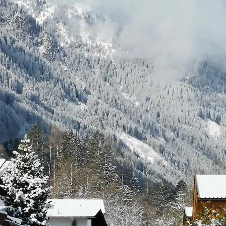 Geisler Appartement Finkenberg