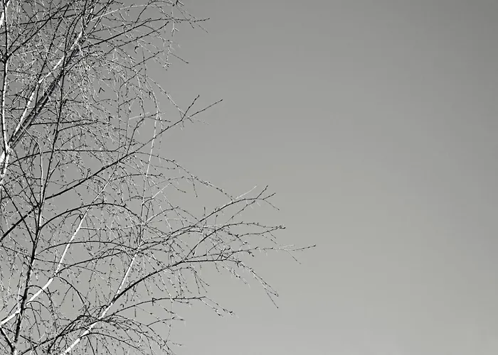 Geisler * فينكنبرغ