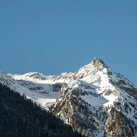 Apartman Geisler Finkenberg