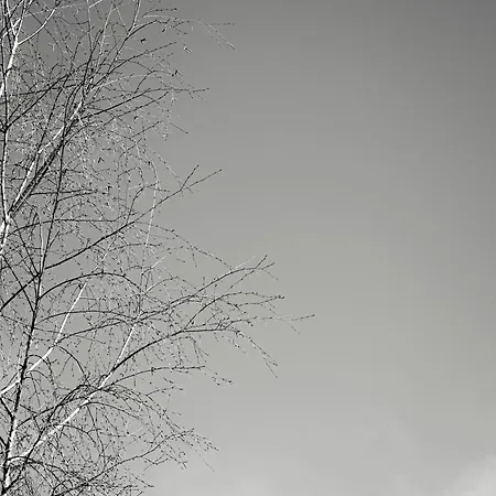 Geisler * Finkenberg